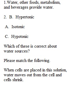 Quiz 3